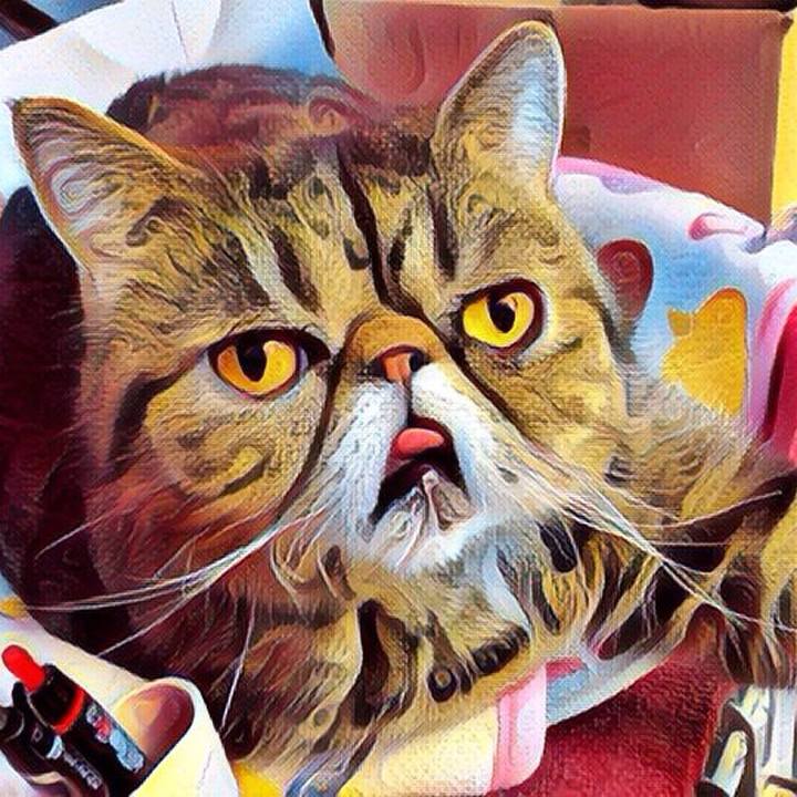 8a913d97 b446 48ef b112 25c41ba37247