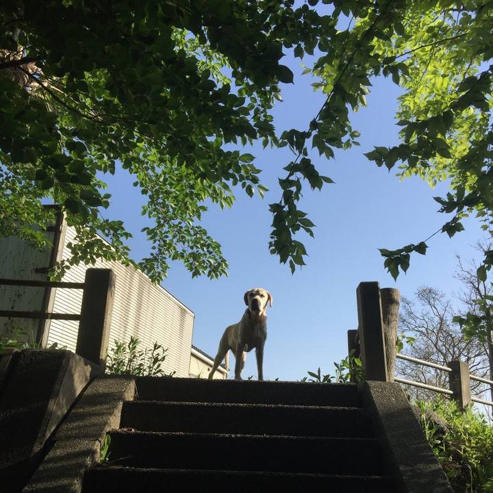 8a91916c 83ce 4a22 a3b5 0271495534b9