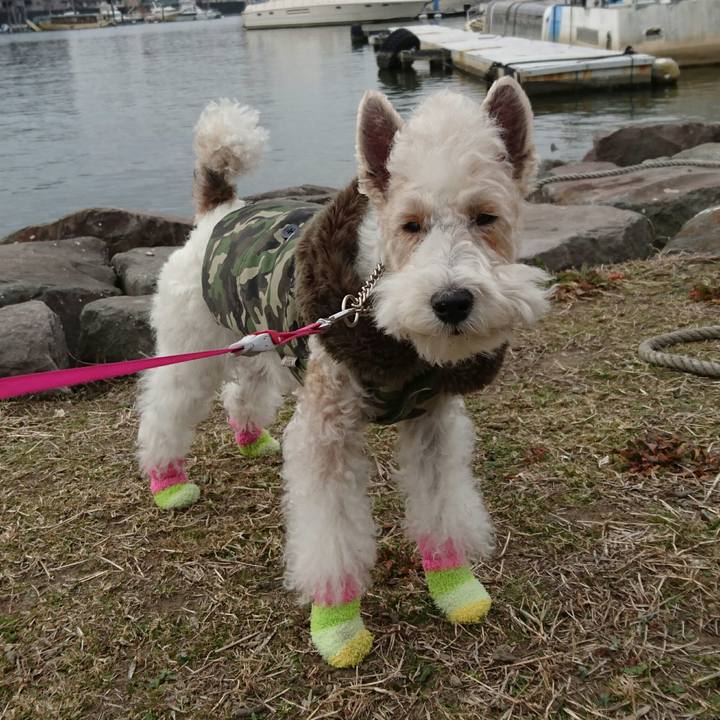 8a91e3ce e90f 42e9 82f2 6b0c8324161f