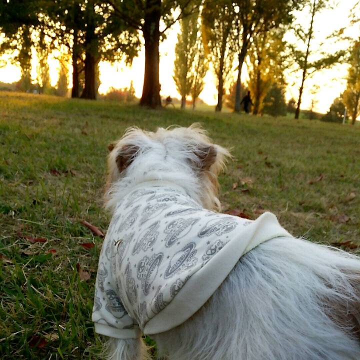 8a9368b4 61de 43d1 9533 ce08ca447f62