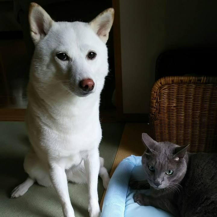 8a93715e d321 4d97 9fe5 02fac2b3d01e