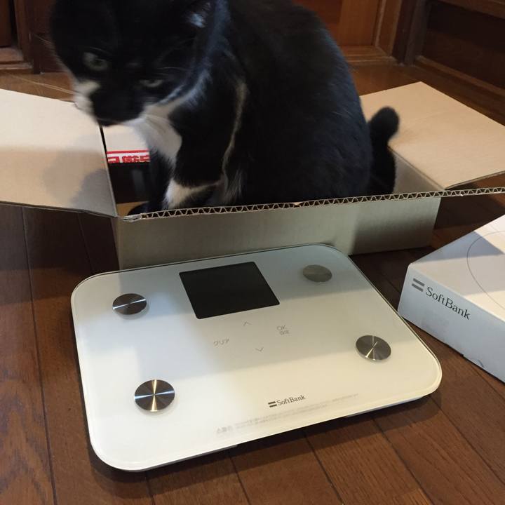 8a939f1f 6e21 4ad6 bd78 caaec32f2163