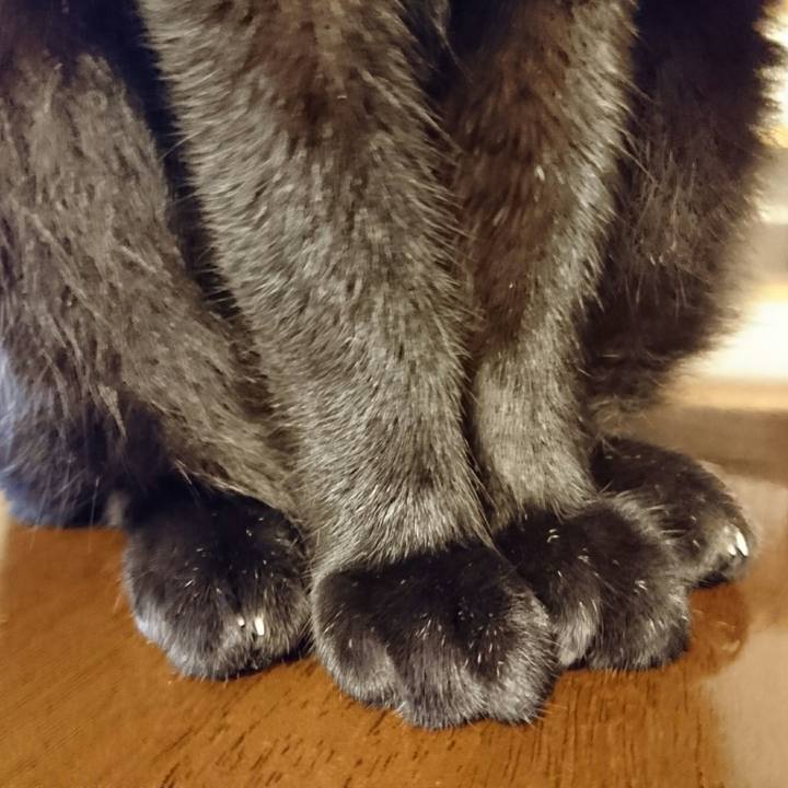 8a93dfe6 e89a 4198 95c3 c19722619473