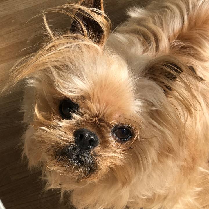 8a94c109 bd08 4c74 b86e 994969732982