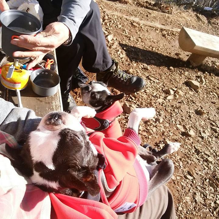 8a94c647 3724 4949 aea4 0e4ba7cc4212