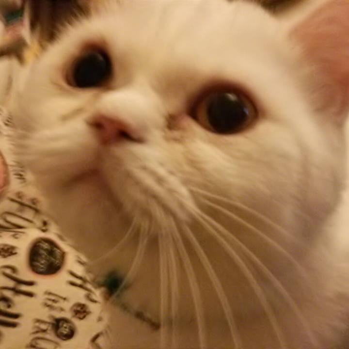 8a955a9d 9097 42a9 9cc1 11ddc50d82ba