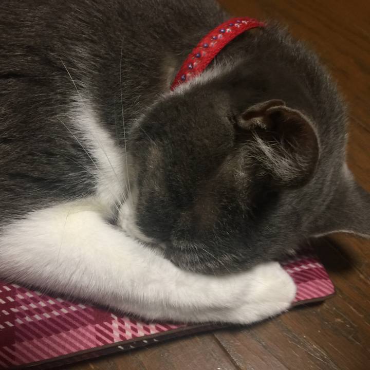 8a959548 19db 416a b46f d2fdfe1b9b1a