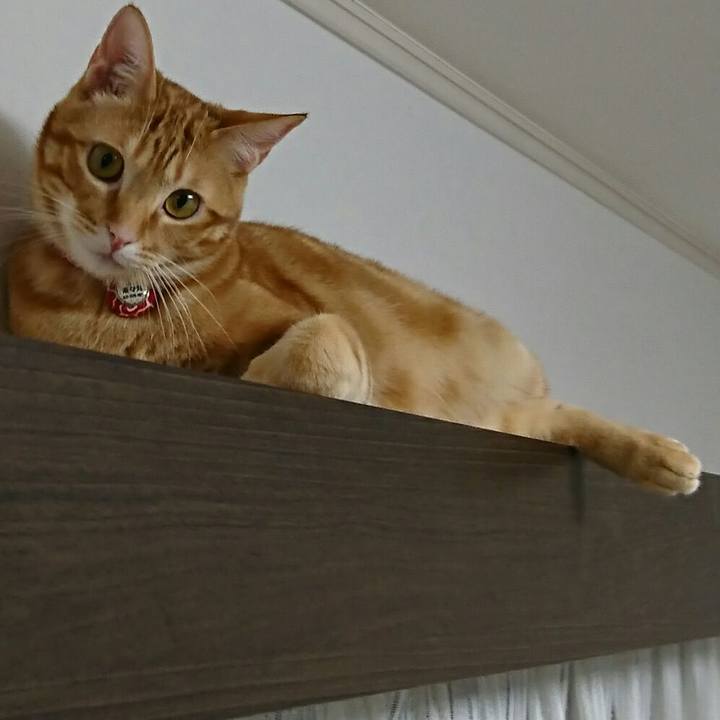 8a972b94 407a 4b2e ba32 251974c1a4ff