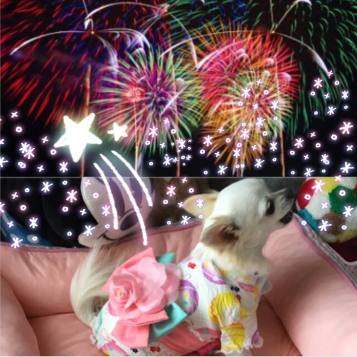 8a976809 5b28 4545 925a 9872ecd0970b