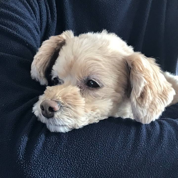 8a983bbb 0192 4154 9bea d5abe7e013d8