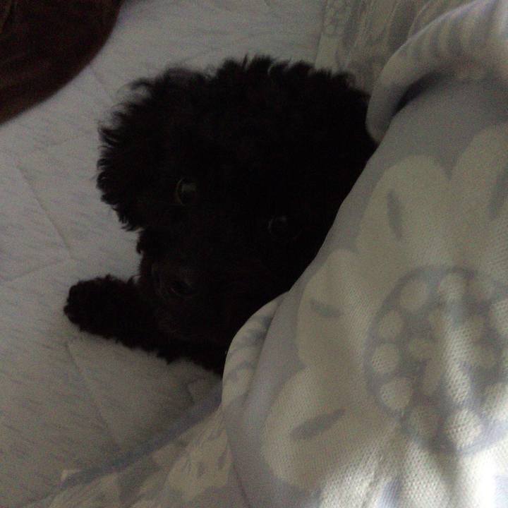 8a984b5c c9a4 48ac 9a87 6af7ecc921ef