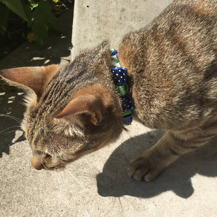 8a989116 69dc 41c0 a3f5 9b7a430ef894