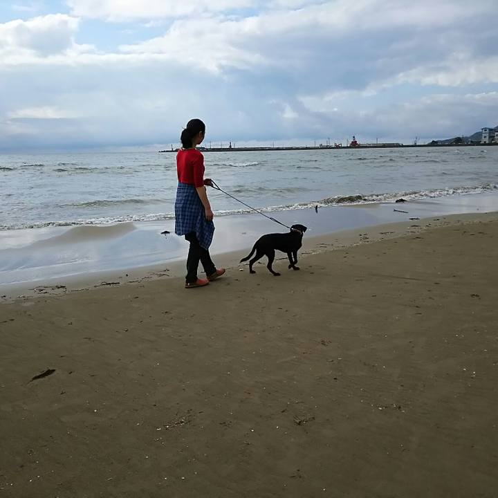 8a98a91f 22af 4a47 9603 eb3fc8594043