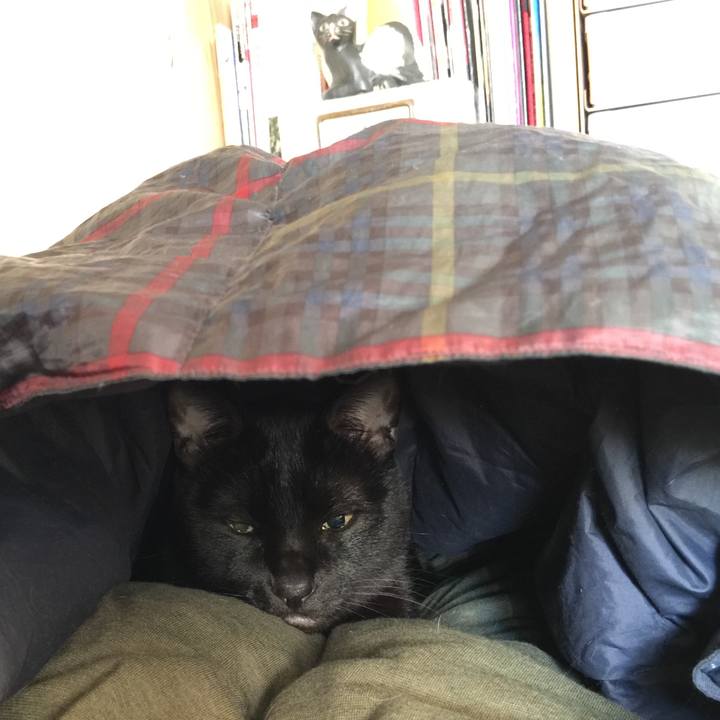 8a9992c6 564e 484d 894d 12721446e9f3