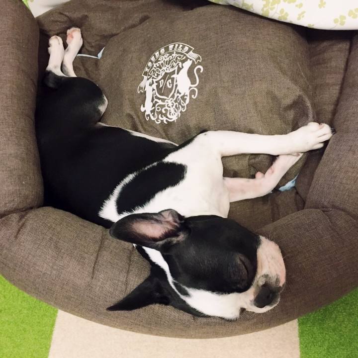 8a99bf97 f711 4400 843e 7e9e9def4cf7