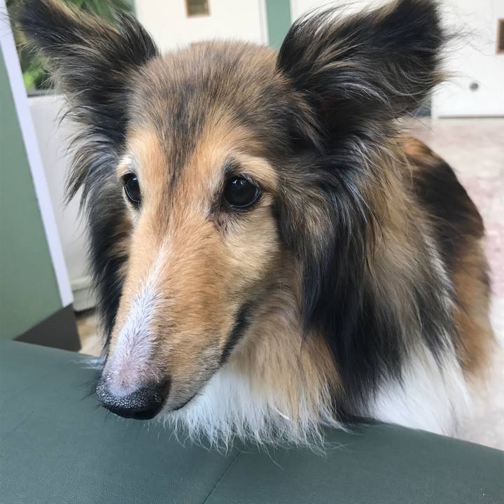 8a99f141 a227 4f15 991e 564c5c2f4274