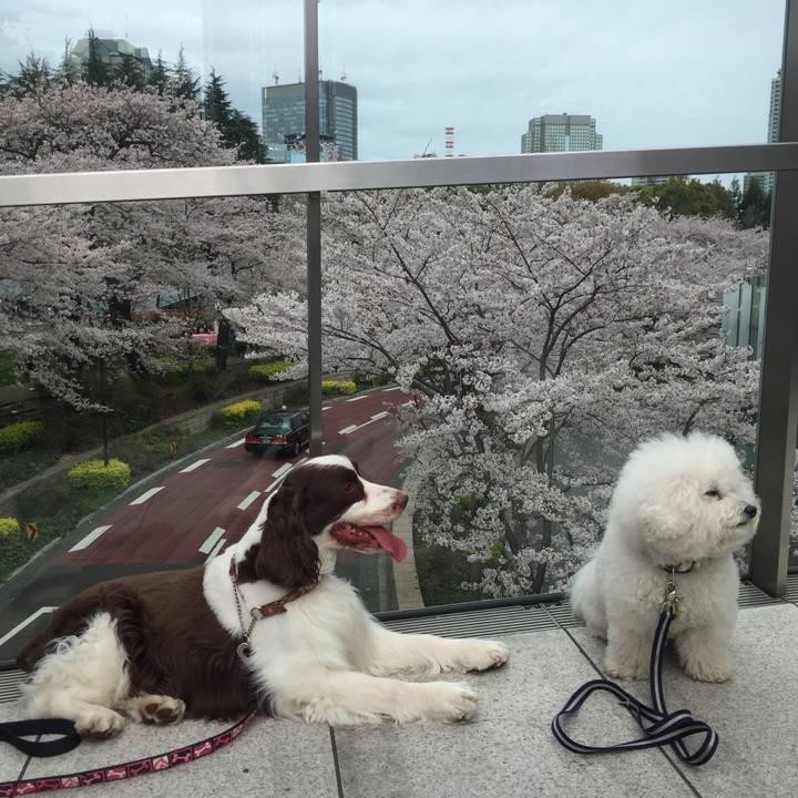 8a9a4794 3e63 46d0 afdf 5fc2aebae3b5