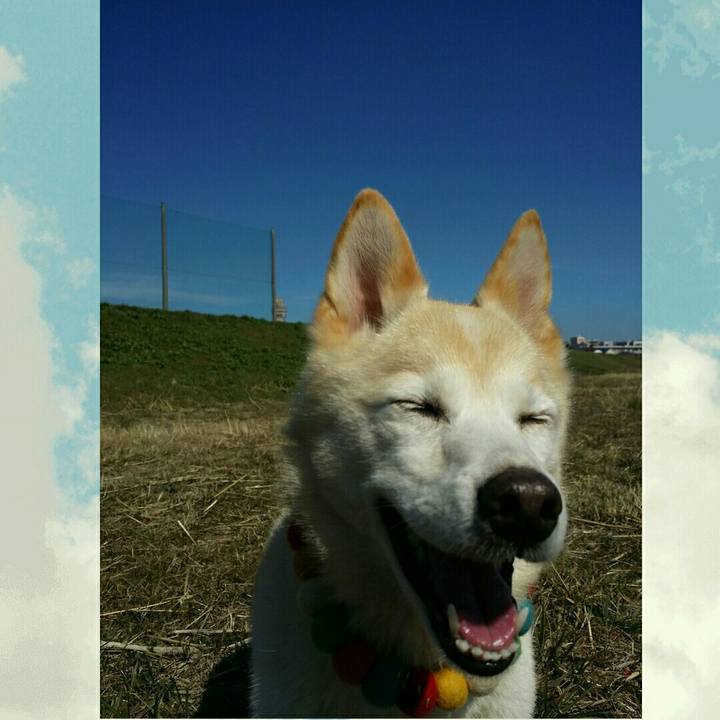 8a9bdb0e 77ae 4b20 a74a db98626f1dda