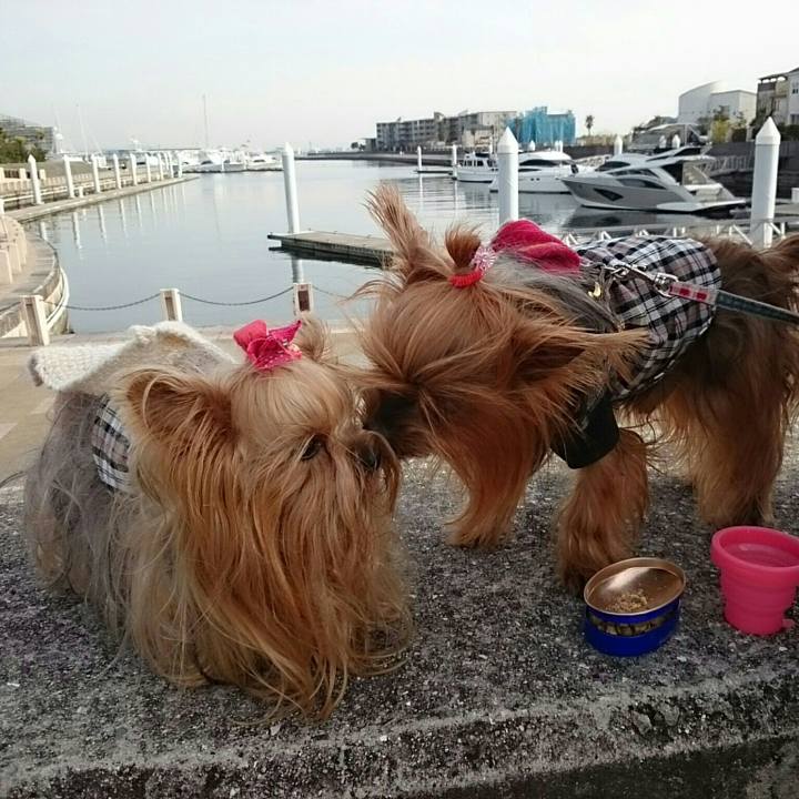 8a9c0049 a35c 4b52 a545 c4052e8bfc6a