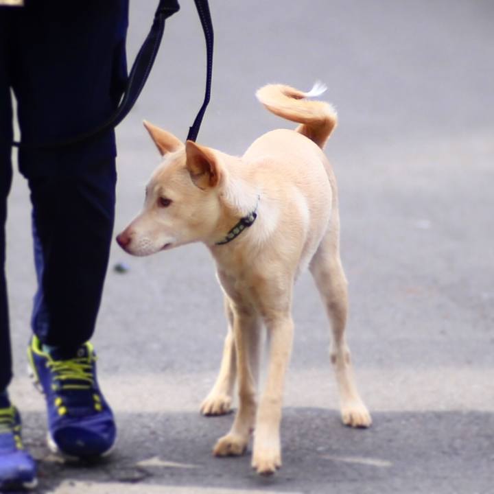 8a9c5f26 7973 4692 9f24 fc69a054382c