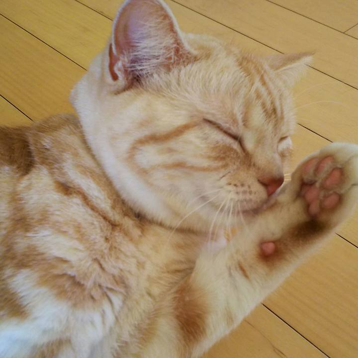 8a9c6414 052f 49cb 848c 1fecd48757ee