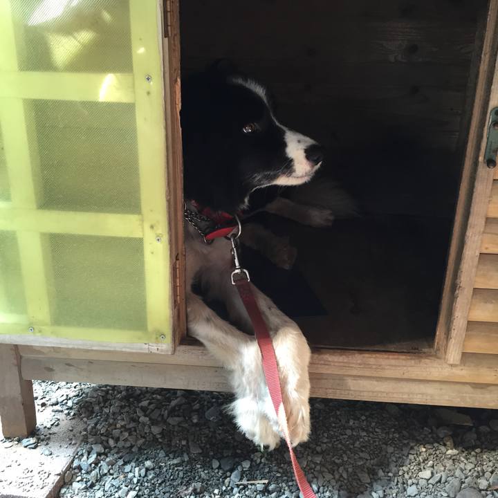 8a9cfbca 745e 45ca b1c9 a1080a634cd0