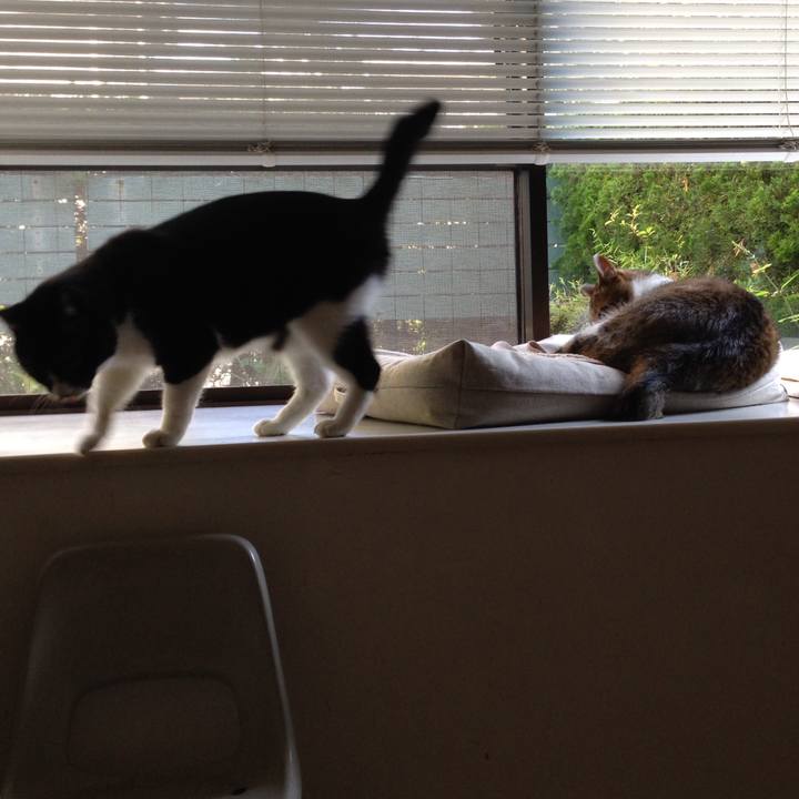 8a9d5b26 98ba 40ed b6a8 cd4b63d8d9c7