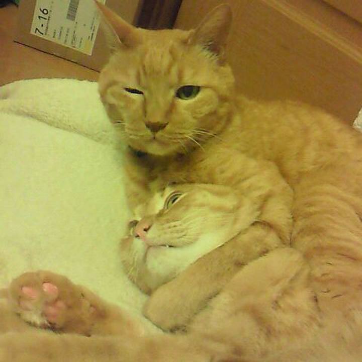 8a9d7098 650f 4679 b29e 273fcc11b51d