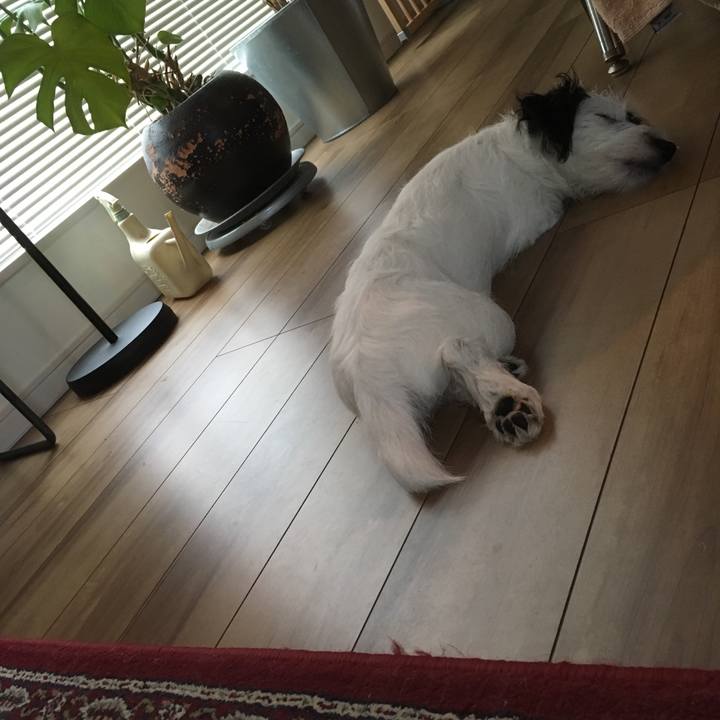 8a9d7a96 19e2 4ad9 be71 c1bebdd7e1f8