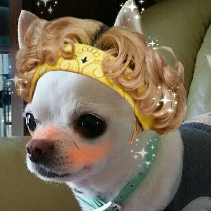 8a9d8947 b12b 4047 b50e 364b770f62d9