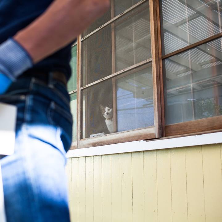 8a9e9a60 54e2 43c2 8fc2 5596576d2dfe