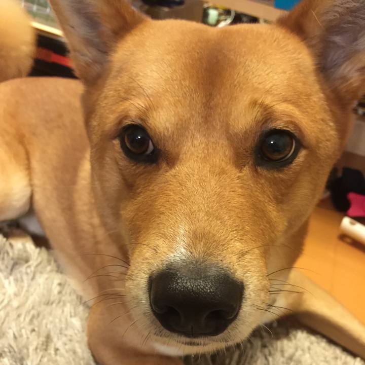 8a9e9b16 272d 48d7 8367 1882d0d3a79a