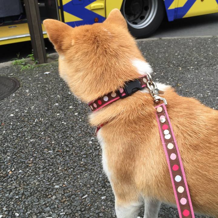 8a9ec521 b6ea 4773 ae1b 09d0b9ae961c