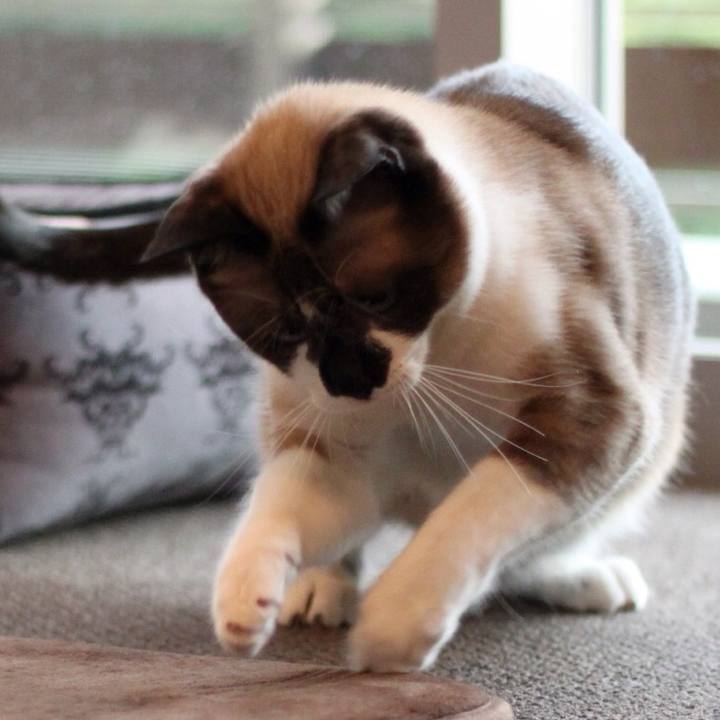 8a9f58fa e1c1 4624 846a f2b1394101e2