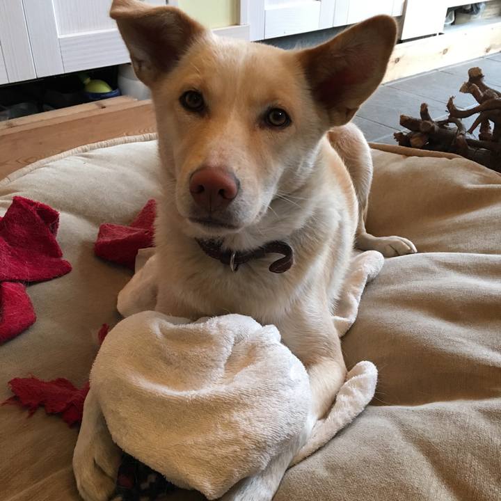 8a9f9c94 eb83 49f8 a645 49d46568d317