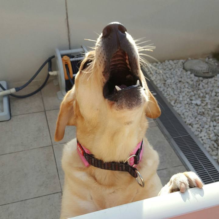 8a9fdf2d 8d3d 4967 8cad 2df494e209b5