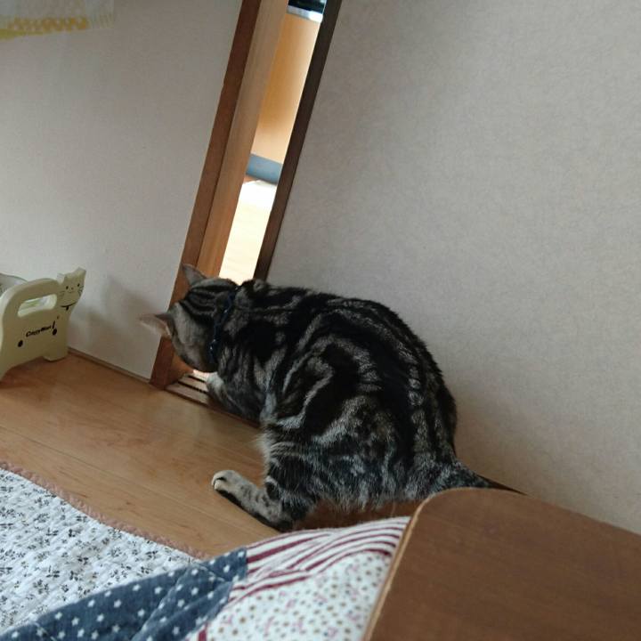 8aa0b5db 5838 4413 8c05 a6263fa0b9ce