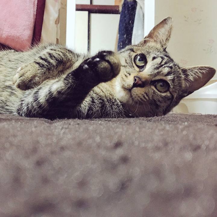 8aa0c918 f801 46f0 aa24 5e9a09a235aa