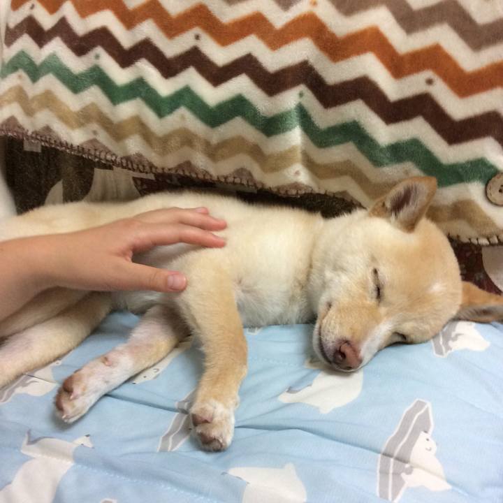 8aa0fa42 4256 4b2f 83e0 852c669e642d