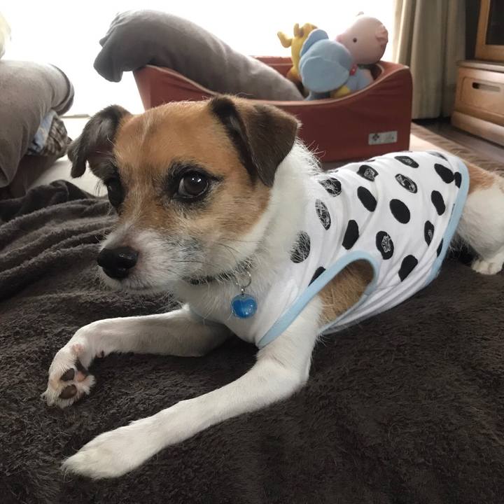 8aa1be6e 2a28 4107 a112 549b53e0f881