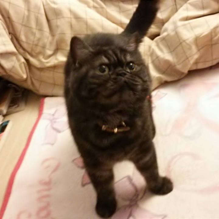 8aa1ff15 4760 4165 a191 fc3865bc8b08