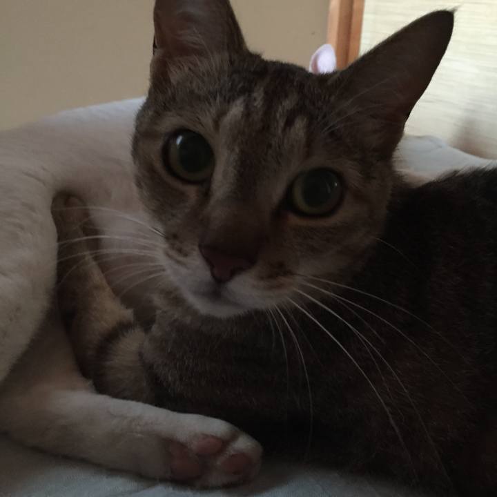 8aa219d8 41c1 43c7 ad95 68cd7acb7a36