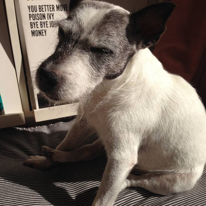 8aa220d2 f953 44dc 8e3b 45db8080d538