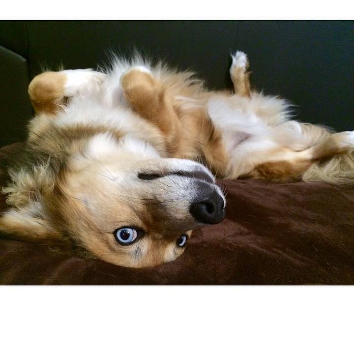 8aa28f11 d4a4 4fb7 8ad2 fe8f8fa23c0f