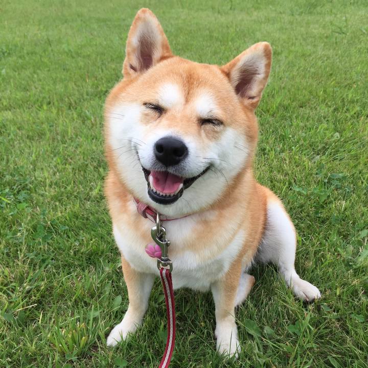 8aa2d204 6580 40b3 a0f8 95afda195572