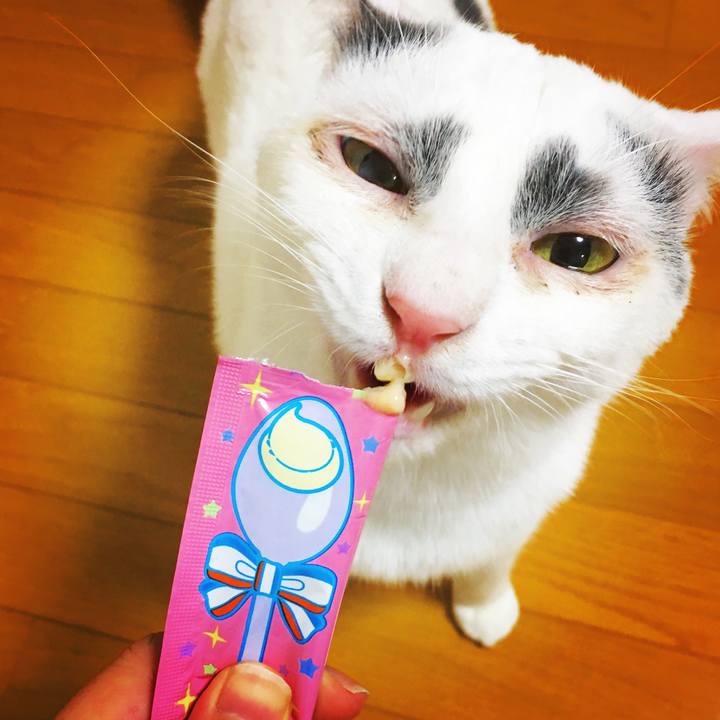 8aa2d792 a395 46c3 a3ec 548ecfd1d716