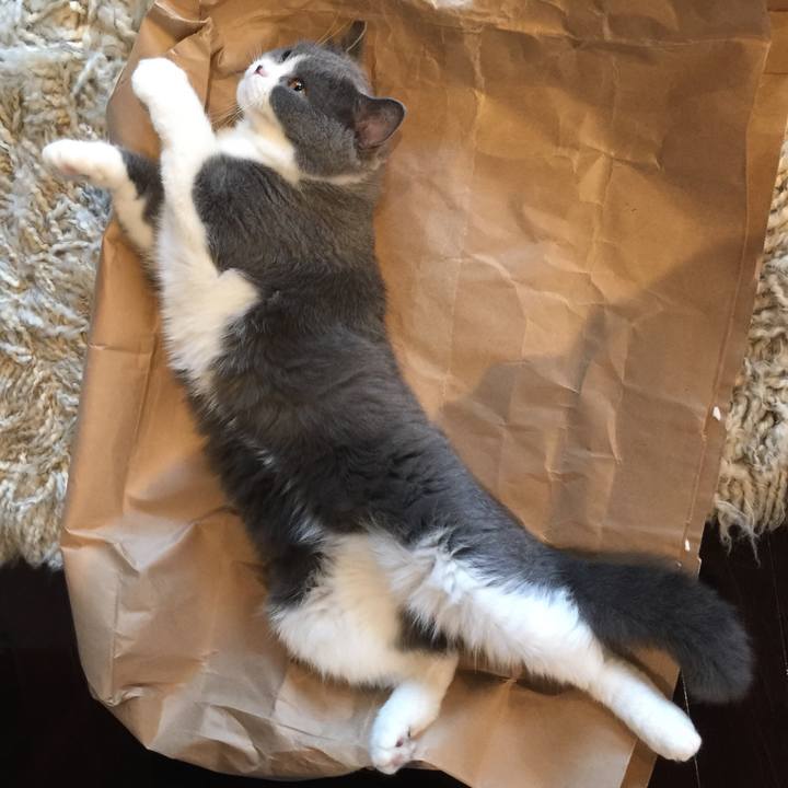 8aa2ea91 a7bf 4f29 9f7b 5aa8e4e9617f