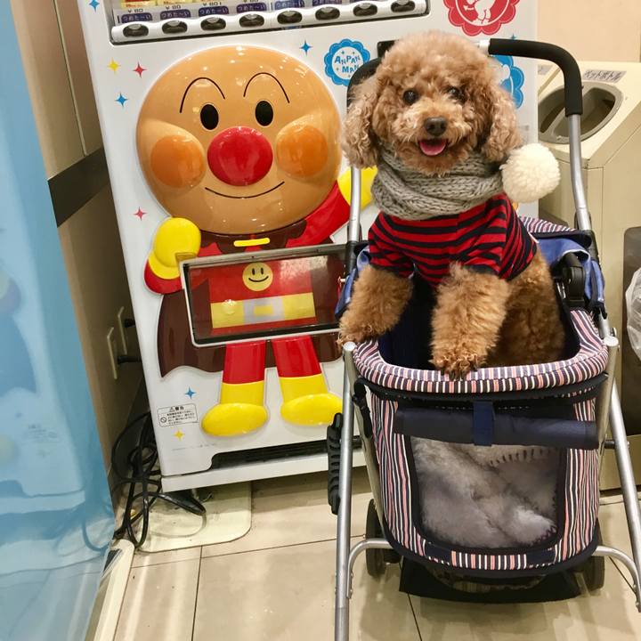 8aa42556 d08e 4873 8b03 bc6f5222be67