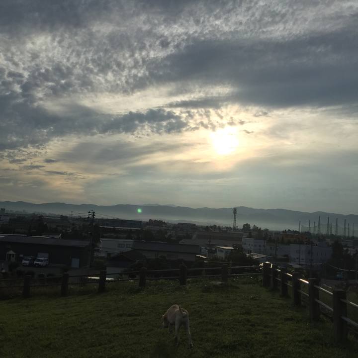 8aa49e85 b1da 462b a665 3d3ae9f94bdd