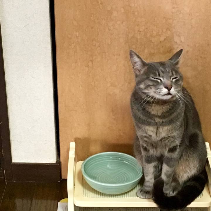 8aa5e5ea fed2 4c31 be1b 85e359aabf7f